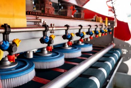 Antalya Halı Yıkama